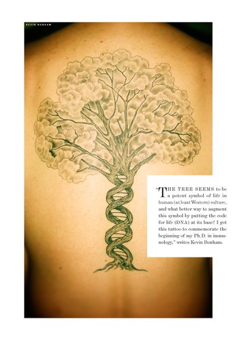 tree of dna.png